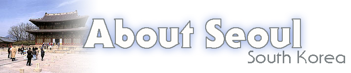 Seoul Travel Info